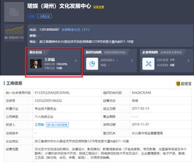 王思聰再被限制消費(fèi)，計(jì)算機(jī)軟件技術(shù)開(kāi)發(fā)背后的法律警示